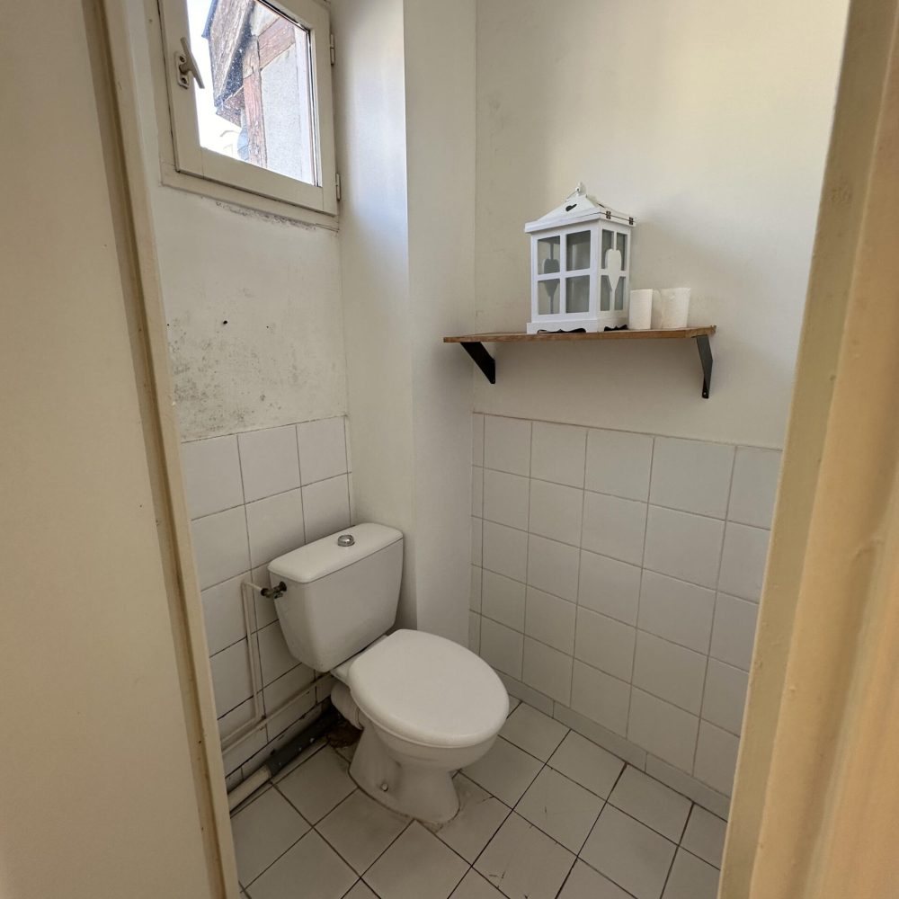 Photo 6 toilettes avant travaux peinture BS ENTREPRISE