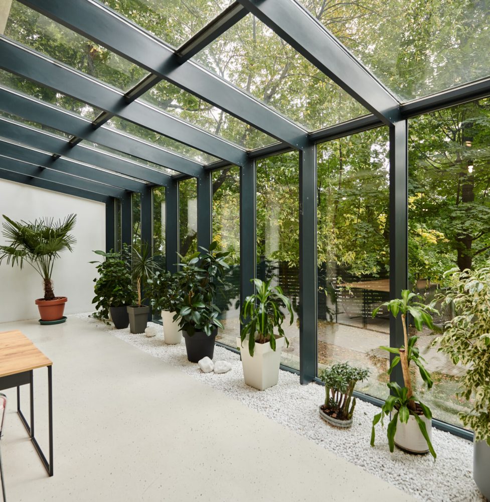 interior photo of modern minimalistic conference room with office table and plants in pots interior photo of modern minimalistic conference room with office table and plants in pots